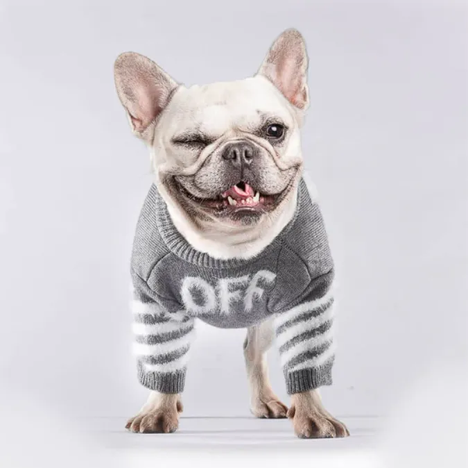 Off Gray Frenchie Sweater