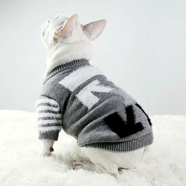 Off Gray Frenchie Sweater