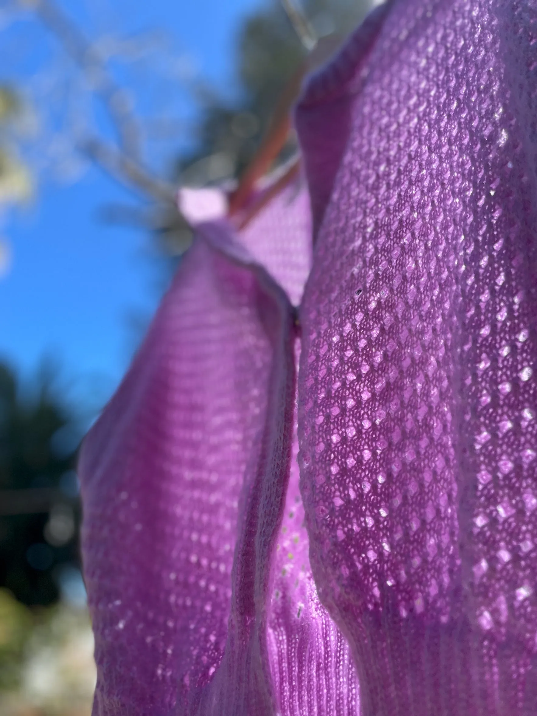 Starry Pointelle Cropped Cardigan - Lilac