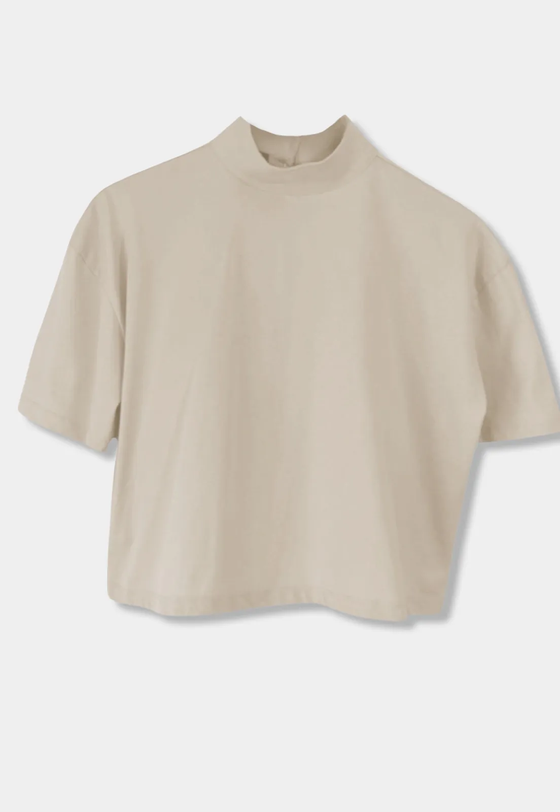 Turtleneck Crop T-shirt