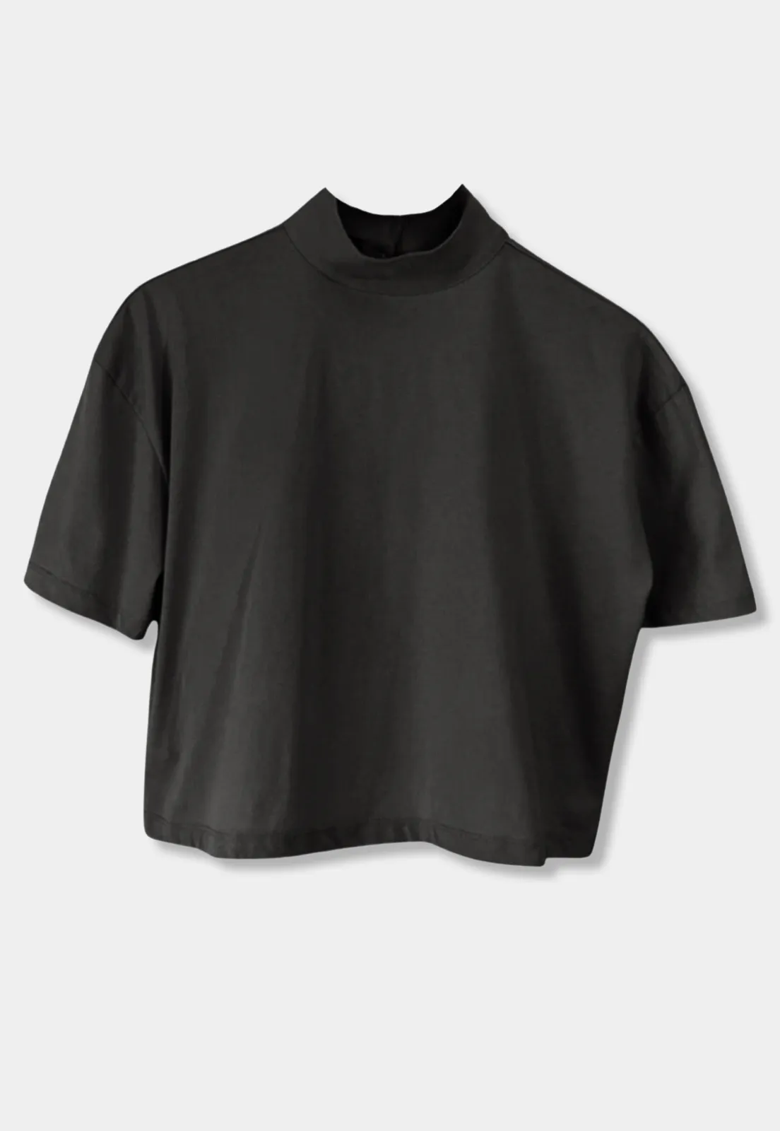 Turtleneck Crop T-shirt